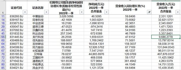 北交所2021年报与2022年一季报全面解读 中实科技等12家优质标的值得关注
